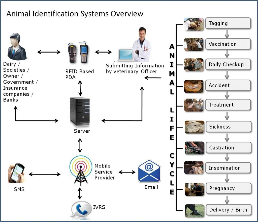 animal identification system image 4